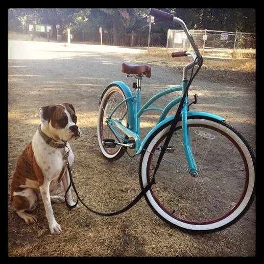 sixthreezero Teal Single Speed Women's Beach Cruiser Bike