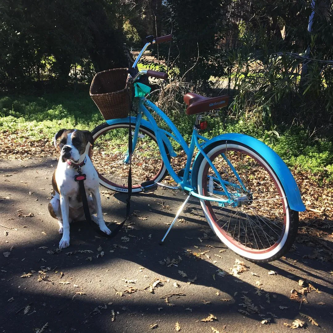 sixthreezero Teal Single Speed Women's Beach Cruiser Bike