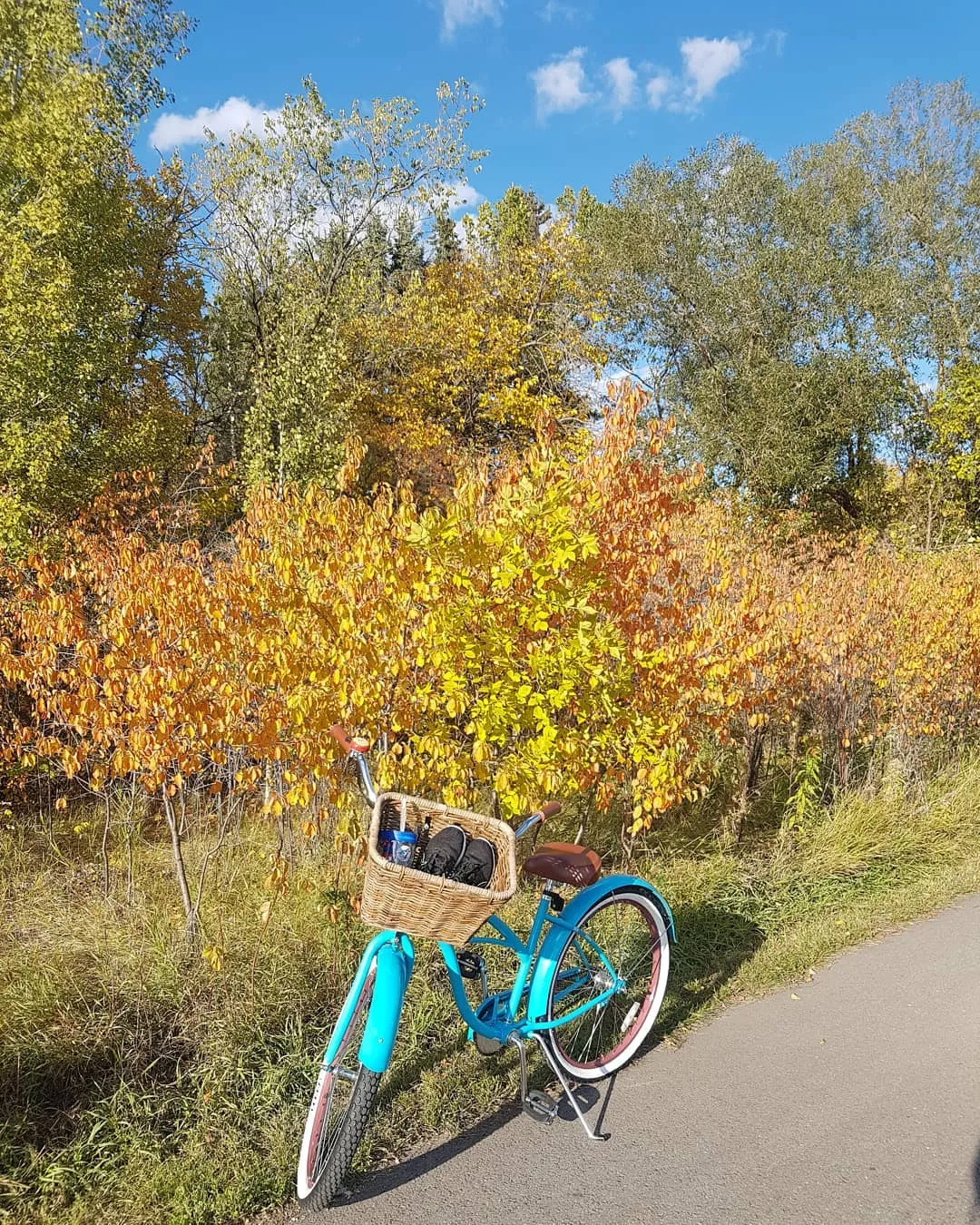 sixthreezero Teal Single Speed Women's Beach Cruiser Bike