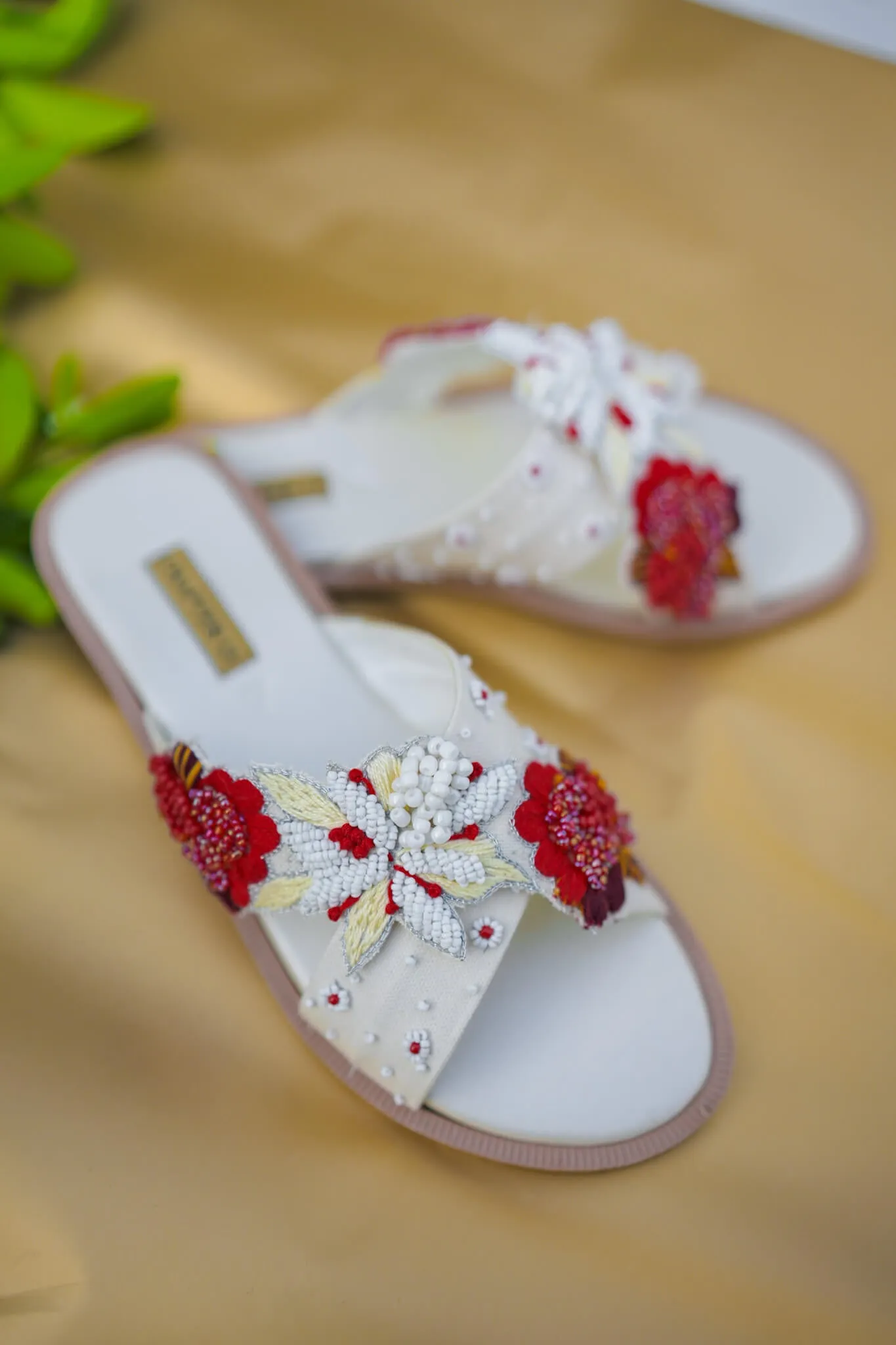 Slides | Red Bloom